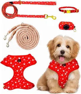 Premium No-Pull Dog Harness 5-Piece Set with Matching Hands Free Rope Leash, Collar, Leash & Poop Bag Dispenser (Large, 24-44 Lbs, Red)
