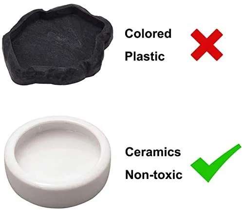 Reptile Worm Dish