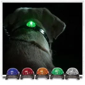 Sport Dog - Locator Beacon