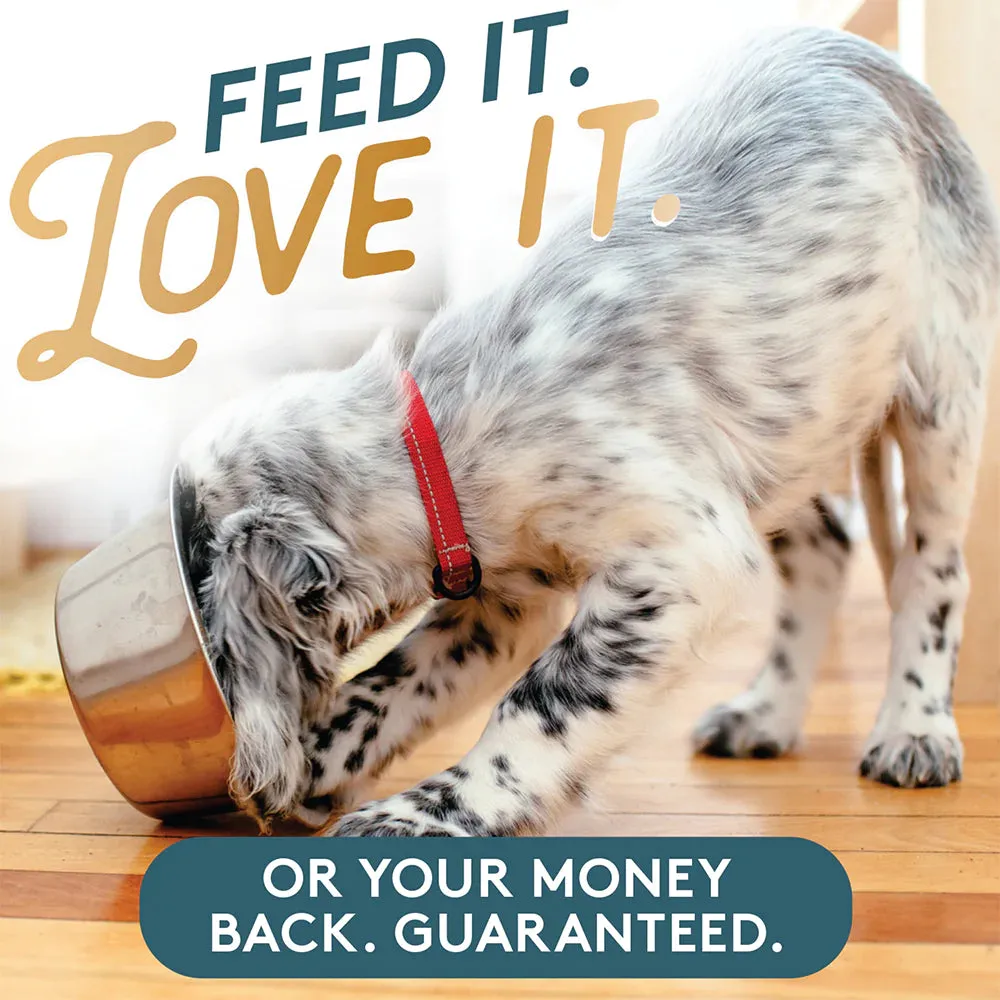 The Missing Link Pet Kelp® Probiotic Blend  8-oz, Dog Supplement
