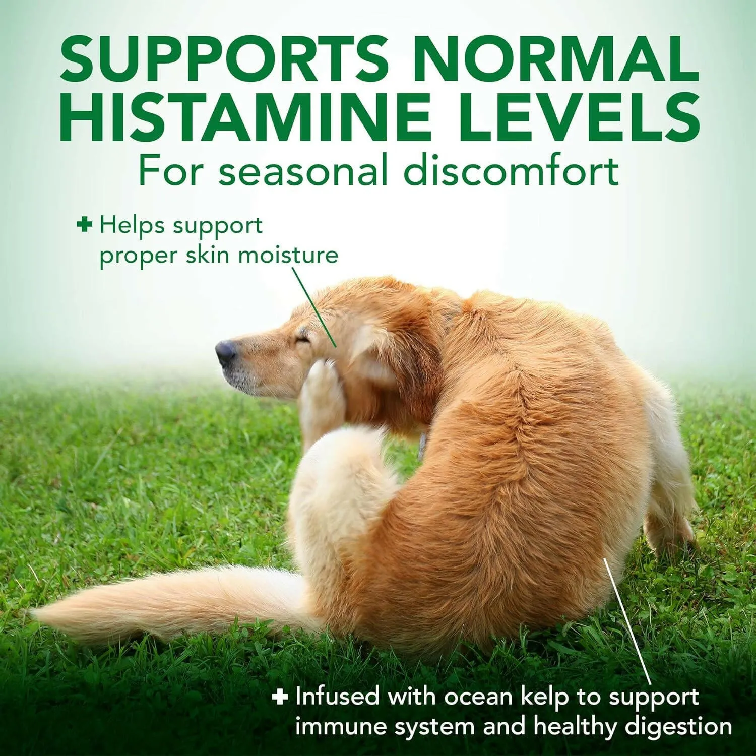 Vet's Best Seasonal Allergy Soft Chews for Dogs (30 Soft Chews)